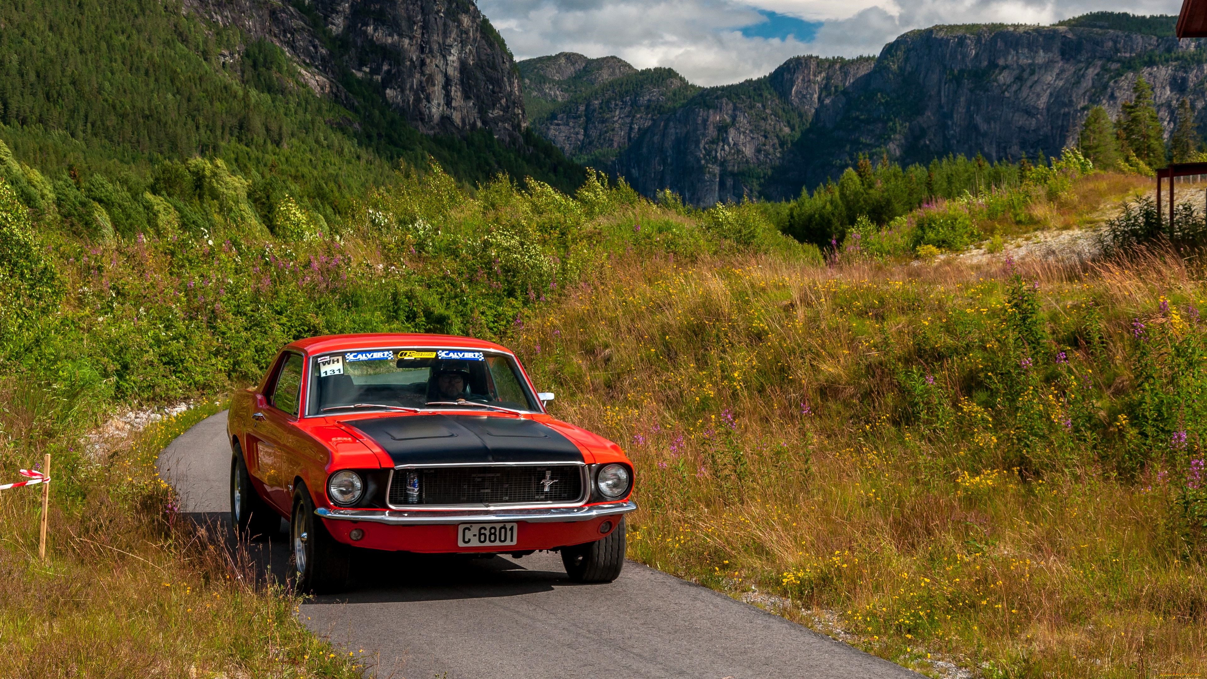ford mustang, , mustang, , , , , , 